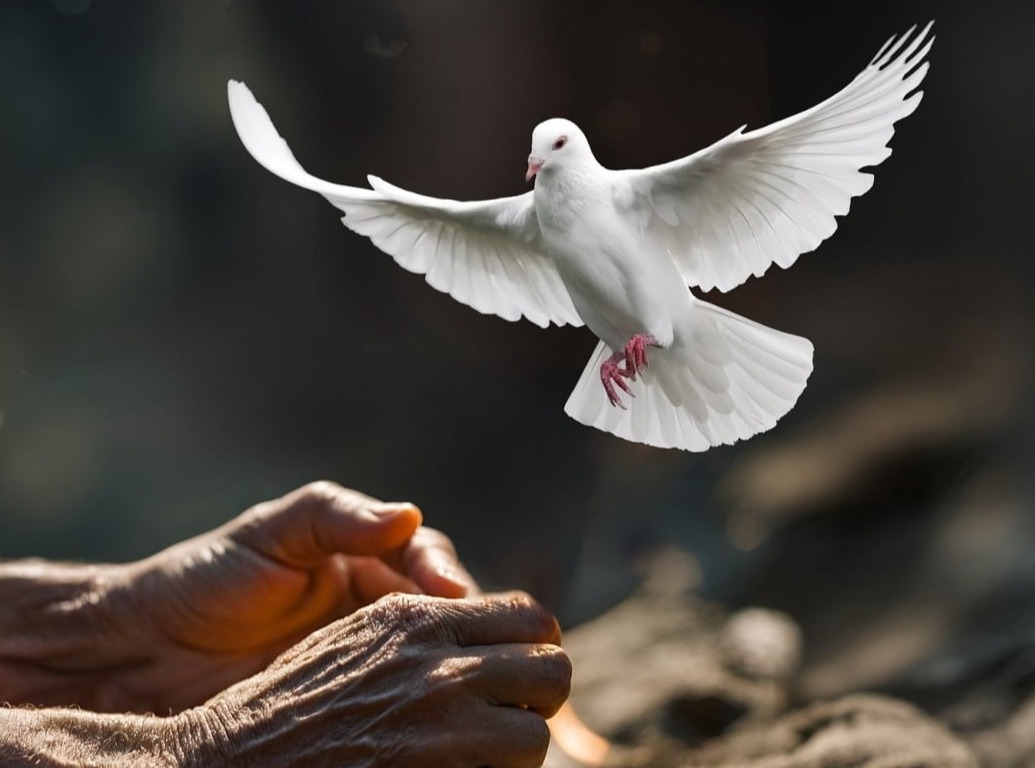 Confirmation by the Holy Spirit